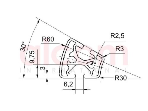 Profil aluminiowy konstrukcyjny R30x60 30° [6]